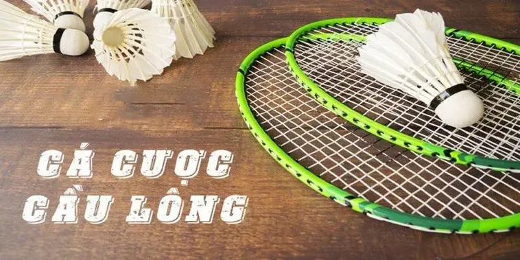 Cách Chơi Cá Cược Cầu Lông Tại 7Ball Chi Tiết Từ Loại Kèo Đến Chiến Thuật Thắng