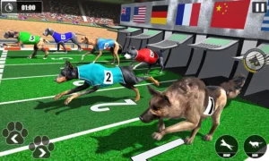 Cách Chơi Game Nhanh Đua Chó 7Ball Chi Tiết Và Hiểu Quả Cho Người Mới