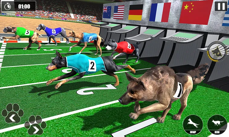 Cách Chơi Game Nhanh Đua Chó 7Ball Chi Tiết Và Hiểu Quả Cho Người Mới