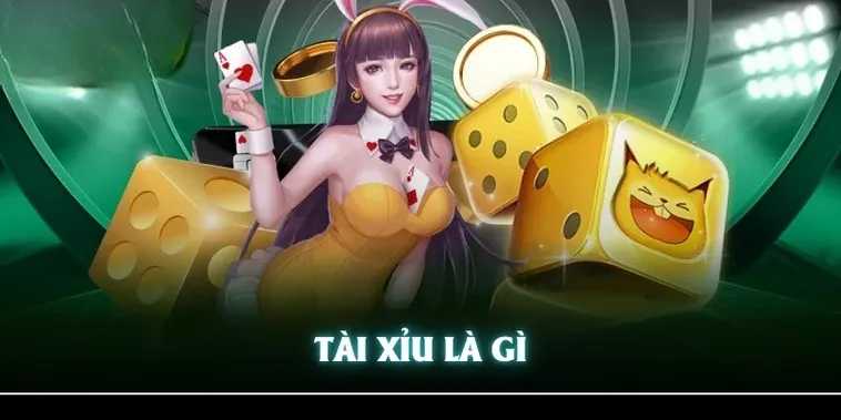 Cách Chơi Tài Xỉu Nhà Cái 7Ball Hiểu Rõ Luật Để Dễ Dàng Thắng Lớn