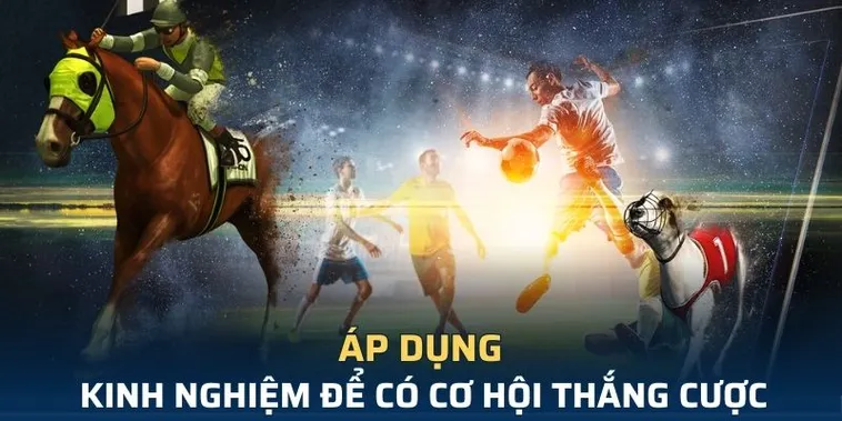 Tìm Hiểu Cá Cược Thể Thao Ảo 7Ball Với Trải Nghiệm Chân Thực Hấp Dẫn